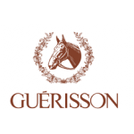 Guerisson