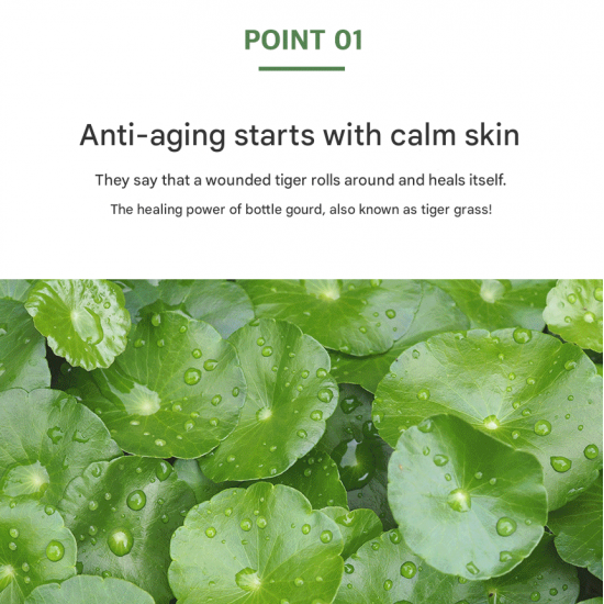 3w Clinic Cica & Hyaluronic Calming Ampoule 50ml