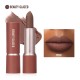 Beauty Glazed Matte Bullet Lipstick 105