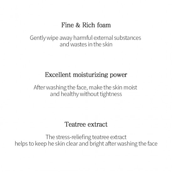 TENZERO Balancing Foam Cleanser TEATREE 100ml