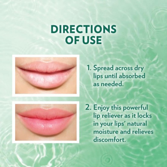 VASELINE Lip Therapy Mint 4.8g